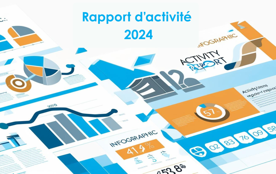 Rapport dractivite 2024
